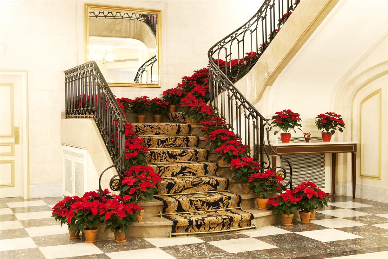 Hotel Le Plaza Bruselas Exterior foto The photo depicts an elegantly designed staircase adorned with decorations. The staircase has a luxurious carpet runner featuring an ornate pattern. Surrounding the steps are vibrant red poinsettias in decorative pots, adding a festive touch. The sta